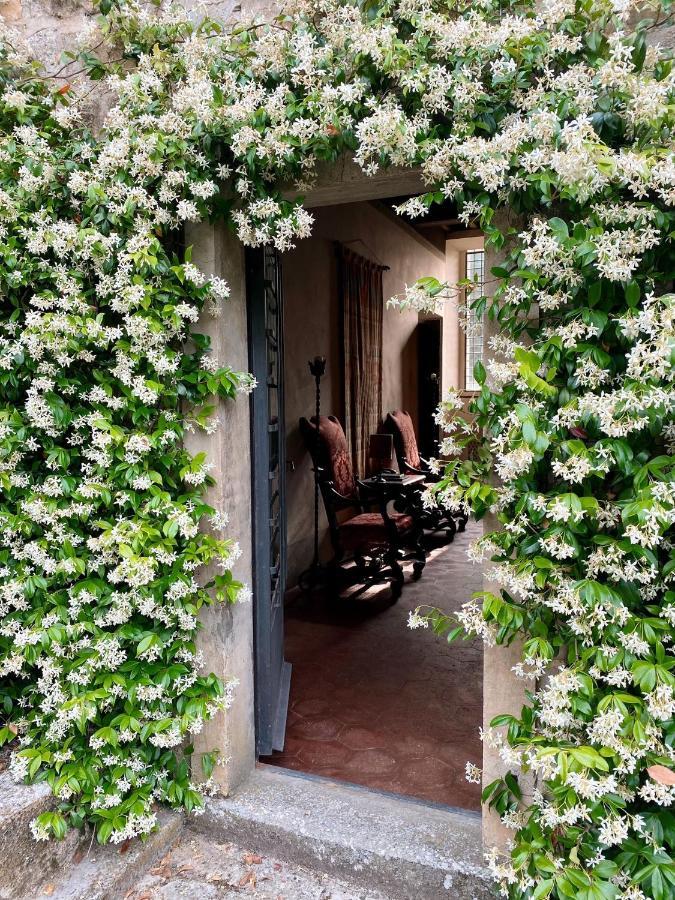 Appartement Tenuta Di San Giusto In Salcio à Gaiole in Chianti Extérieur photo