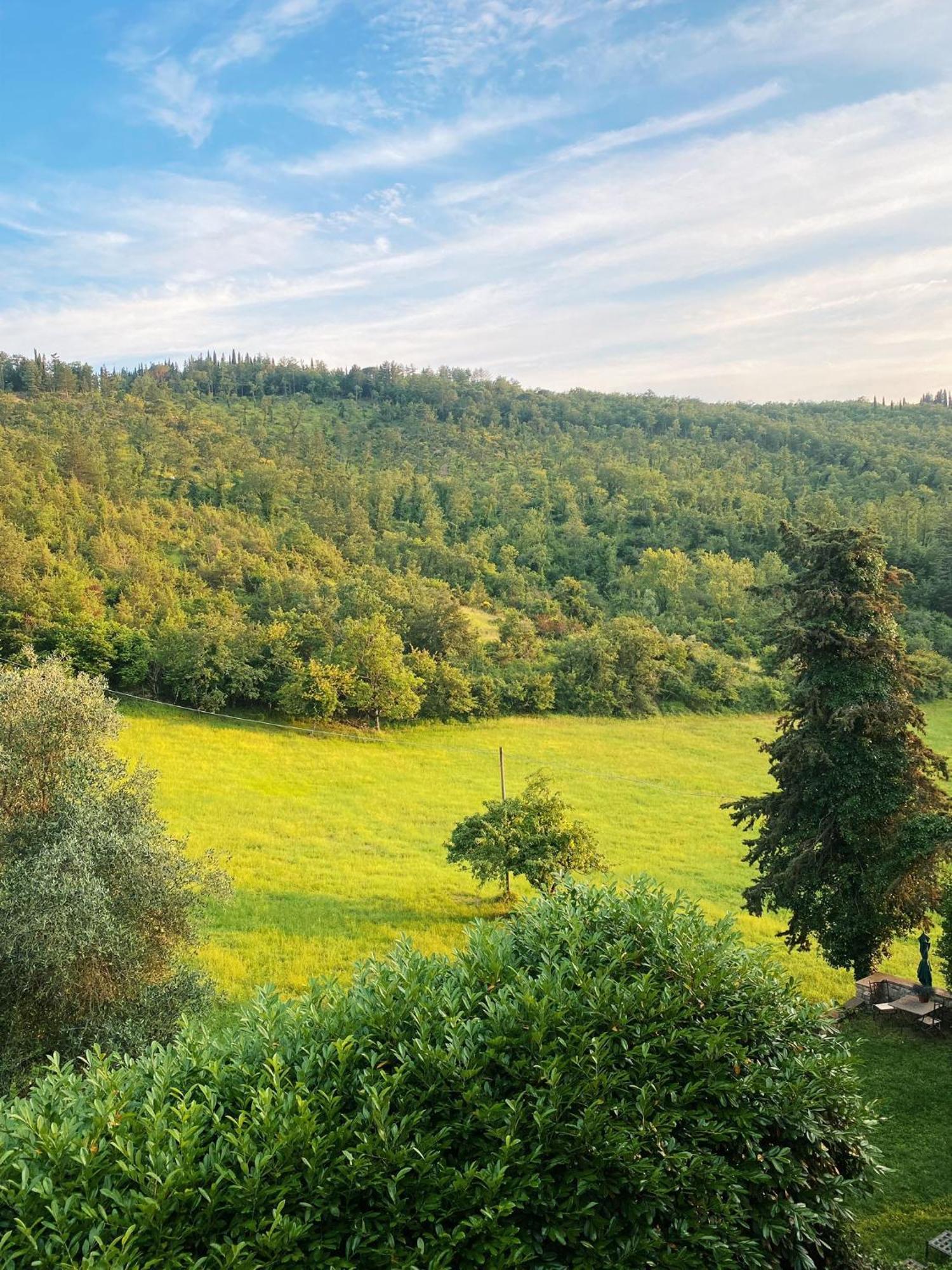 Appartement Tenuta Di San Giusto In Salcio à Gaiole in Chianti Extérieur photo
